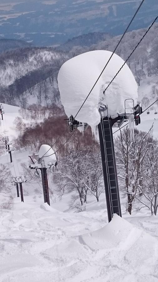 Отель Nozawa Dream Экстерьер фото