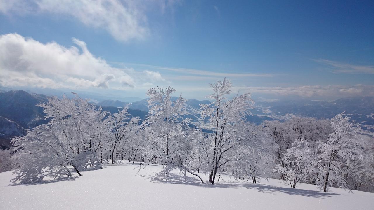 Отель Nozawa Dream Экстерьер фото